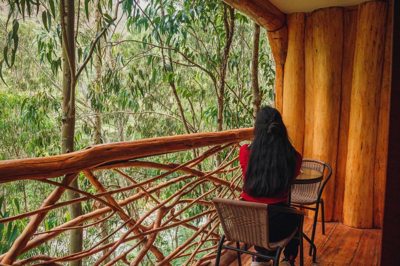 Eco Quechua Lodge Santa Teresa  Ngoại thất bức ảnh