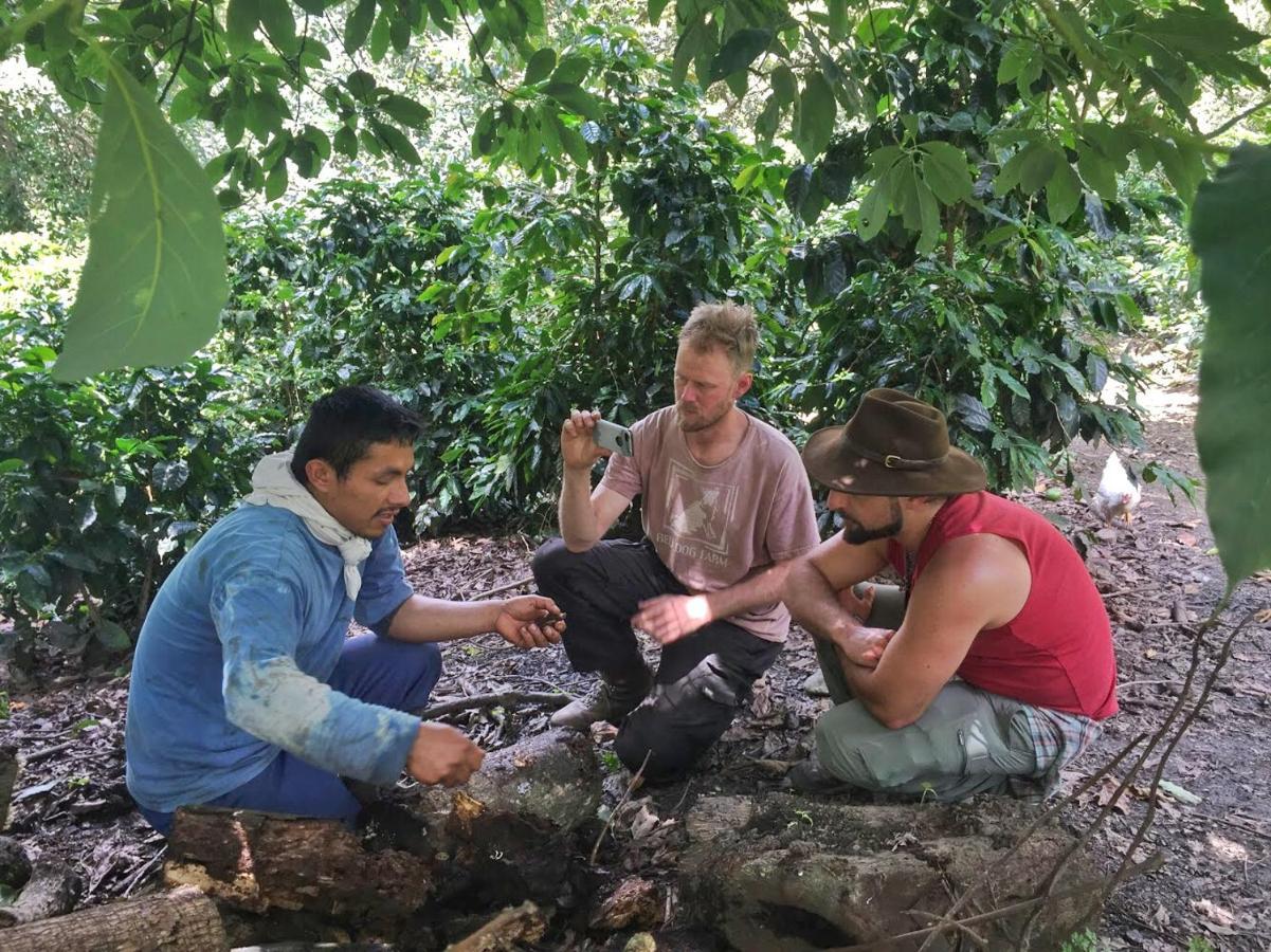 Eco Quechua Lodge Santa Teresa  Ngoại thất bức ảnh